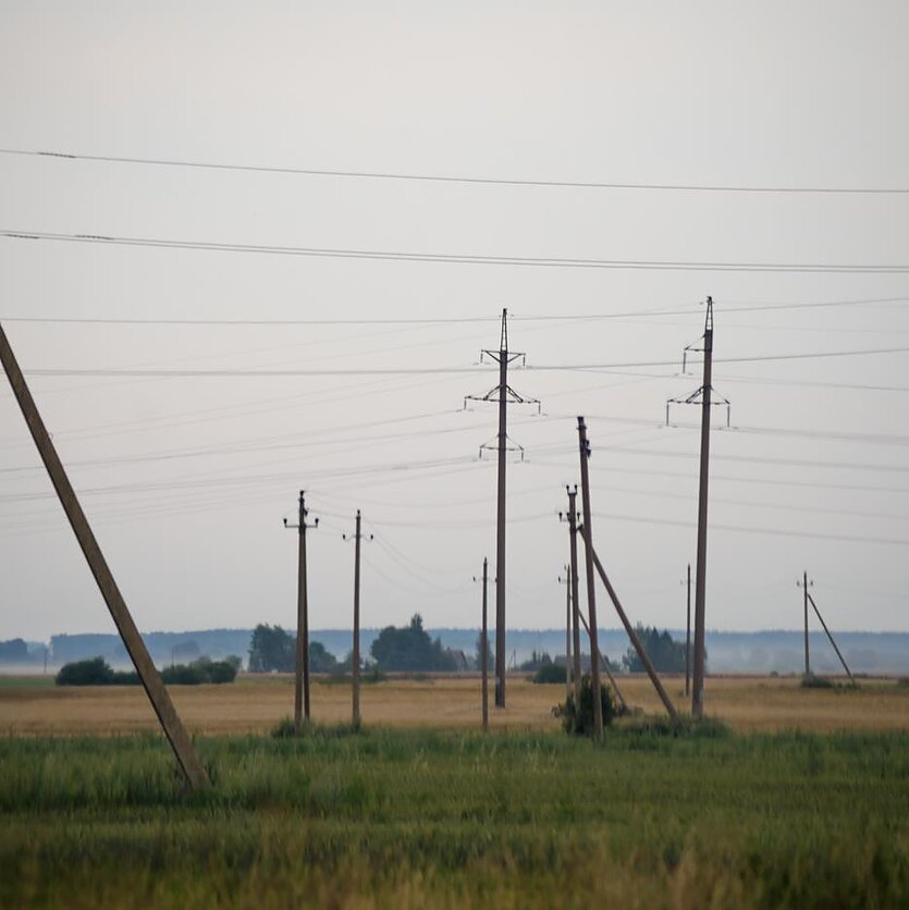 E. Genio/LRT nuotr., Elektra