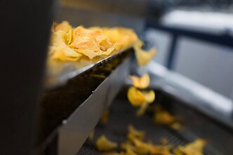 Crisp factory Crisp factory
