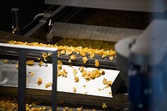 Crisp factory Crisp factory