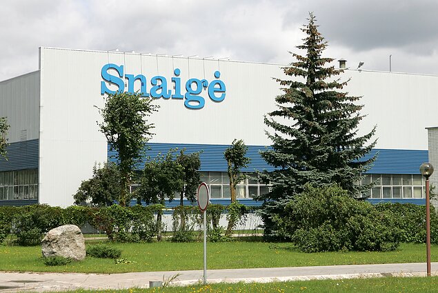 Snaigė