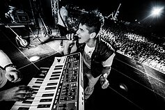 Donato Montvydo koncerto akimirka