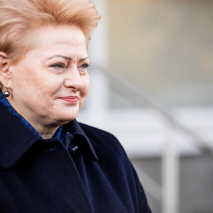 Lietuvos diena. Dalia Grybauskaitė: Vakarų lyderiai nepakankamai ryžtingai remia Ukrainą