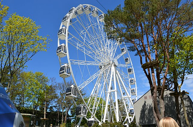 Labas rytas, Lietuva! Šeštadienis II d. Vasaros pradžia Palangoje: po dviejų metų pertraukos – festivalis „Myliu Palangą“