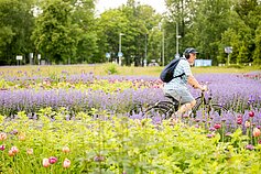 Gėlynas Vilniuje, Santariškėse