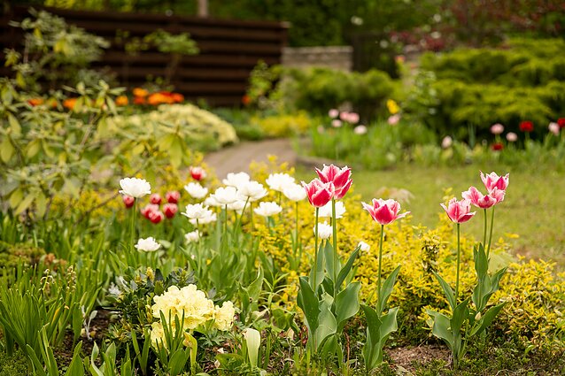 Neprižiūrimų sklypų savininkams – didesni mokesčiai