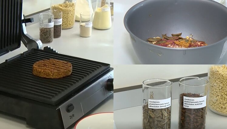 Ateities mėsa iš plokščiamusės lervų: galima valgyti ir kaip užkandį