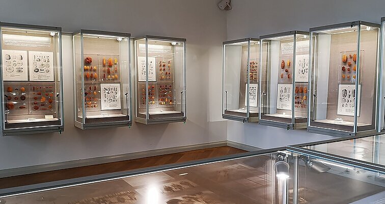 Žinios. Palangos gintaro muziejuje atidaryta prancūzų menininko vieno kūrinio paroda