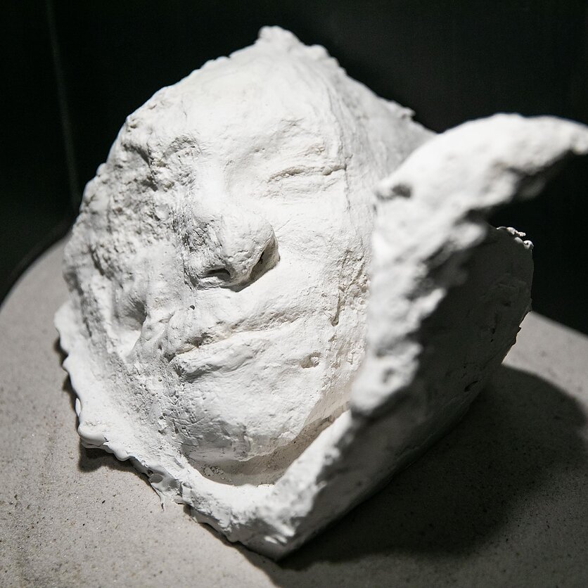 E. Blažio / LRT nuotr., Paroda „Pažadinti: Gedimino kalne rastų sukilėlių istorija“