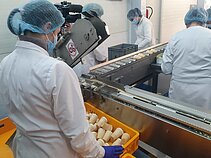 Ledų fabrikas Vilkaviškyje Ledų fabrikas Vilkaviškyje