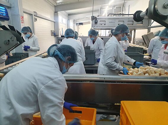 Ledų fabrikas Vilkaviškyje Ledų fabrikas Vilkaviškyje