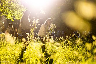  Rasos festival in Verkiai Park