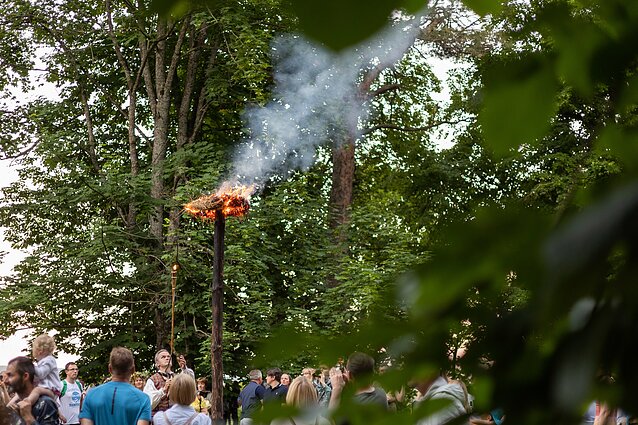 Rasos Verkių rūmų parke Rasos Verkių rūmų parke