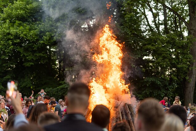 Rasos Verkių rūmų parke Rasos Verkių rūmų parke