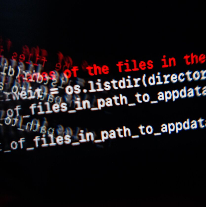 E. Blažio / LRT nuotr., Kibernetinis saugumas