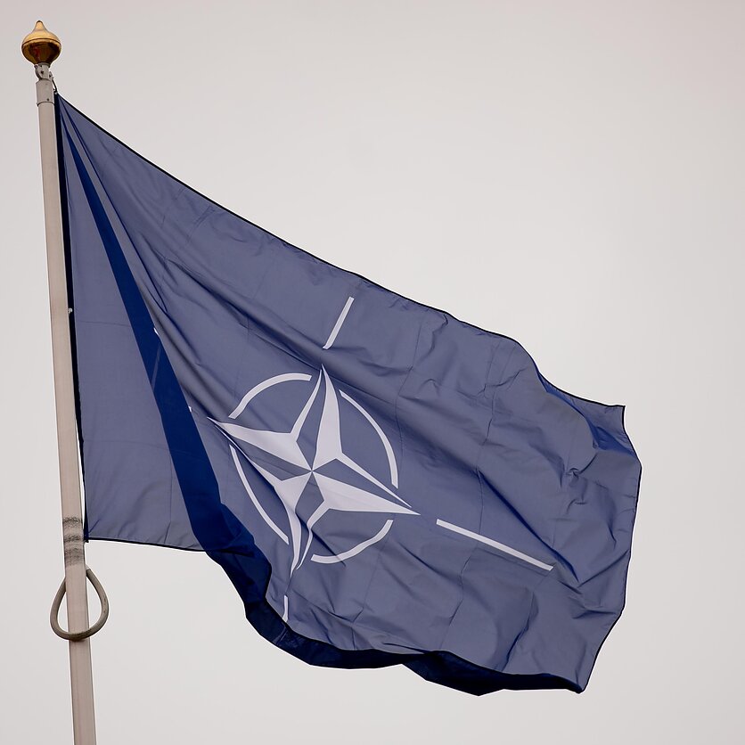 D. Umbraso  / LRT nuotr., NATO vėliava