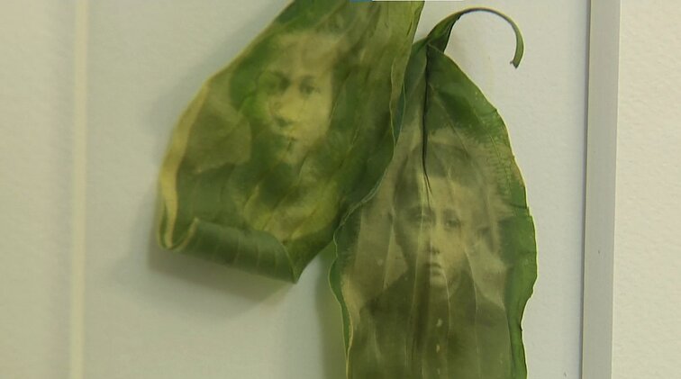 Neeilinė fotografijos paroda sostinės rotušėje: ant augalų lapų atspaustos istorinės nuotraukos iš Vilniaus Gaono žydų istorijos muziejaus