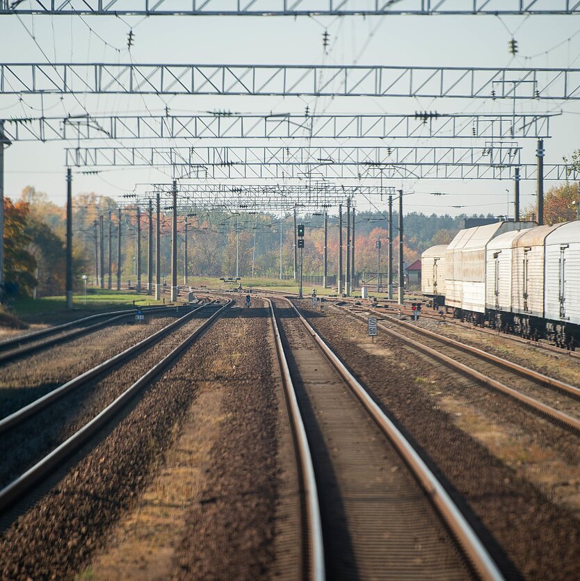 E. Blažio / LRT nuotr., Lietuvos diena. Tranzito į Kaliningradą rebusas: Ar Europos Komisija linkusi nusileisti Maskvai?