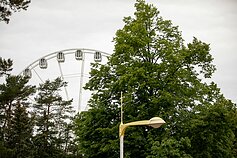 Palanga Palanga