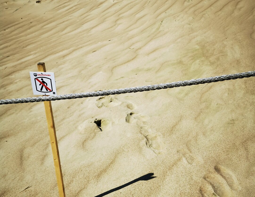 Curonian Spit dunes