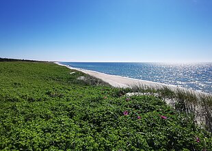 Curonian Spit