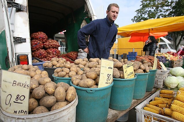 Nepalankios oro sąlygos pridarė nuostolių daržovių ūkiams: tikėtina, kad derlius šiemet bus brangesnis
