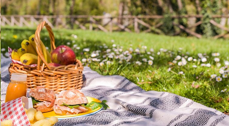 Labas rytas, Lietuva! Šeštadienis II d. Kaip pasiruošti piknikui?