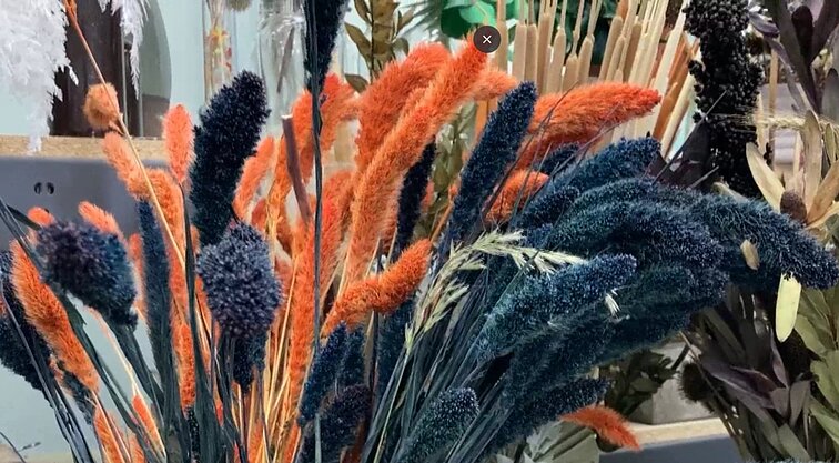 Džiovintų augalų puokštės: namų puošmena visiems metams