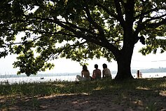 Festivalio „Bliuzo naktys“ akimirka