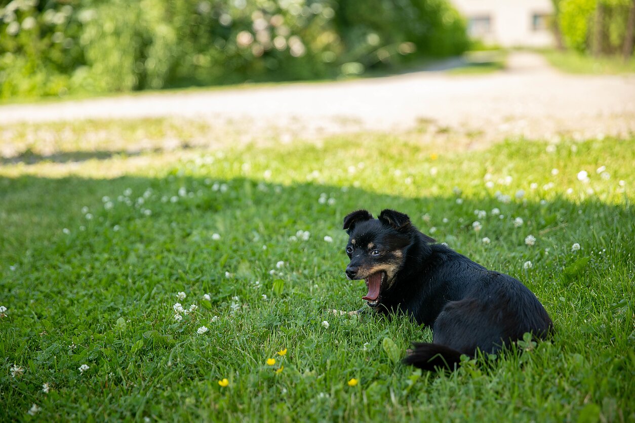 Sodyba, asociatyvi nuotr. 
