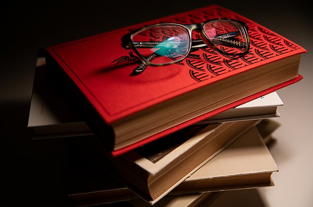 Rytas su knyga. Ingos Mitunevičiūtės knygų apžvalga