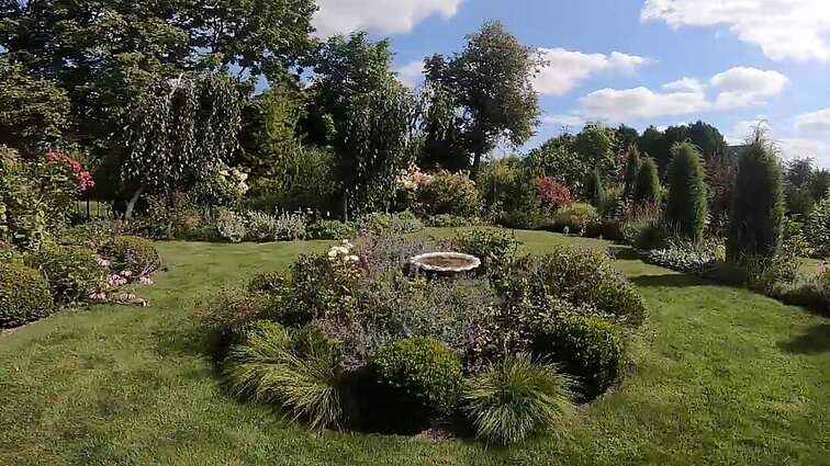 Kai pro langą norisi matyti gamtos grožį: bulvių lauką pavertė nuostabiu gėlynu