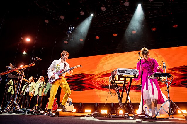 „Kamanių šilelis“