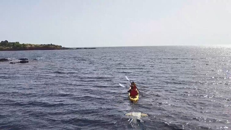 Vandens sporto entuziastai ir mokslininkai susijungė bendram tikslui: rinks ir tirs plastiką iš vandens