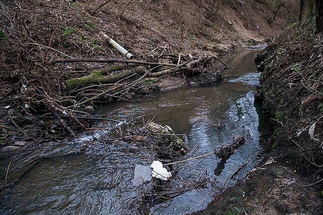 Mokslininkė apie mažų upelių būklę: pro miestus tekančiuose žuvys jau greičiausiai nesiveisia