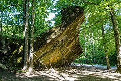 Adolfo Hitlerio bunkeris, žinomas kaip Vilko irštva