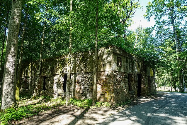 Adolfo Hitlerio bunkeris, žinomas kaip Vilko irštva