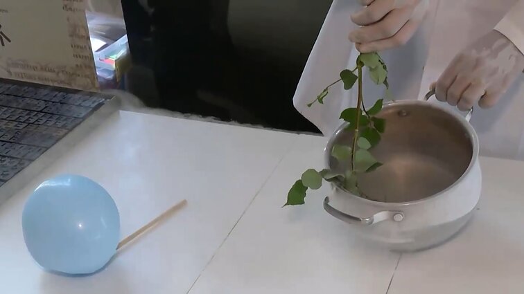 Edukacijose Energetikos ir technikos muziejuje – spausdinimas senoviniu būdu ir bandymai su skystu azotu