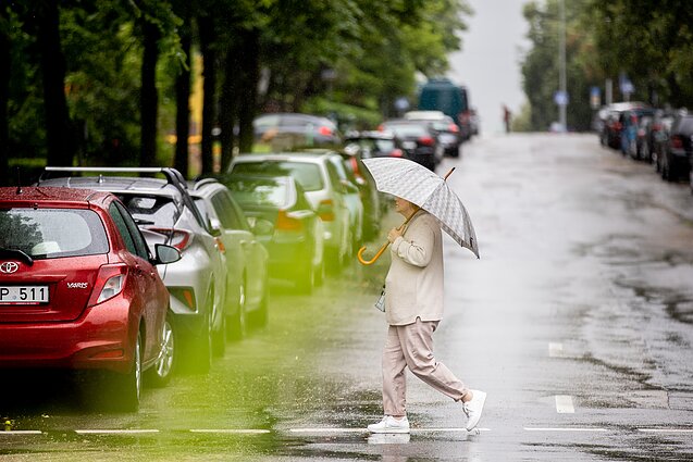 Po gamtą alinančios sausros į Lietuvą atkeliavo lietus: daugiausiai kritulių sulaukė šalies pietvakariai