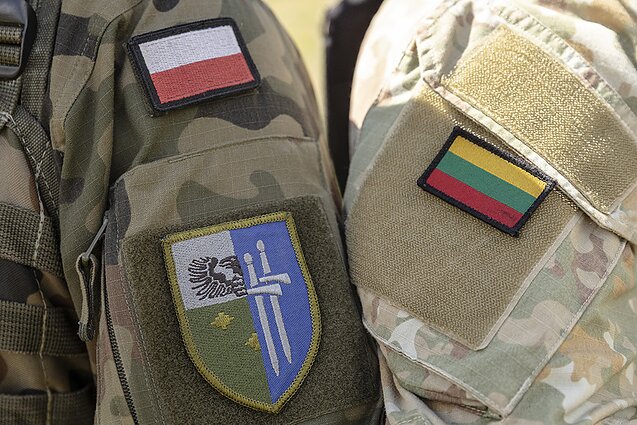 The exercise Amber Desire in Lithuania's Alytus