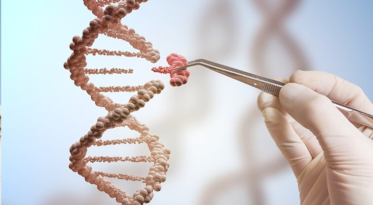 Ekspertas apie genetikos svarbą: taikydami šiuos tyrimus galime atskleisti daug paslapčių