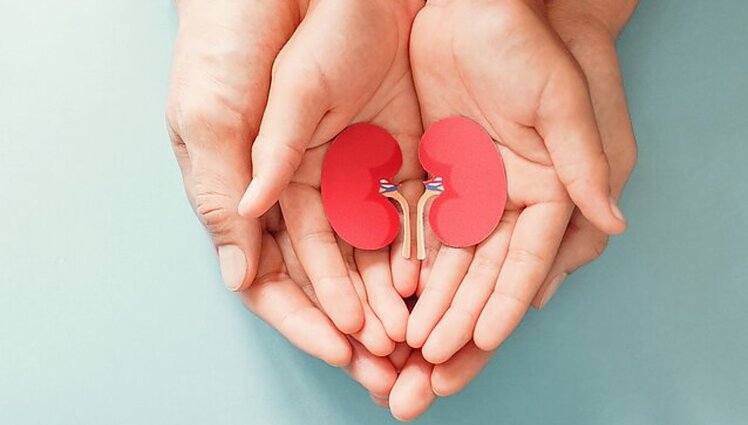 Labas rytas, Lietuva I d. Apsisprendimas, gelbėjantis gyvybes: mažėja artimųjų, nepritariančių organų donorystei, skaičius