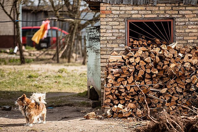 Žinios. Brangstant energijai, išaugo malkų paklausa – kainos šoko dvigubai