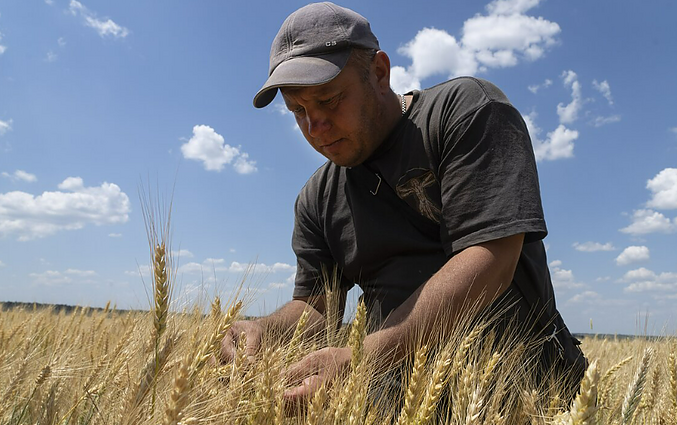 Grūdų augintojų asociacijos pirmininkas: grūdų eksportas vyks iki tol, kol tai bus naudinga Rusijai