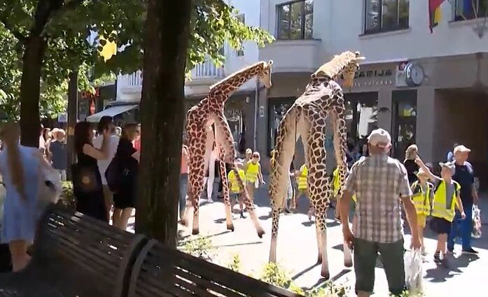 Po Kauno rajoną keliaus nuotaikingosios „Žirafos“: kviečia leistis į laukinį miesto nuotykį
