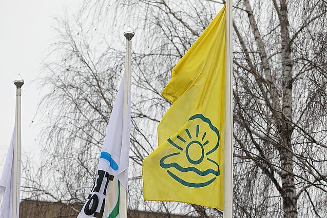 Energetikos ekspertas: „Perlo Energiją“ pasirinko daug žmonių kaimuose, sunku tikėtis, kad ten kažkas ją greitai pakeis