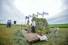 Šienpjovių čempionato akimirka Šienpjovių čempionato akimirka