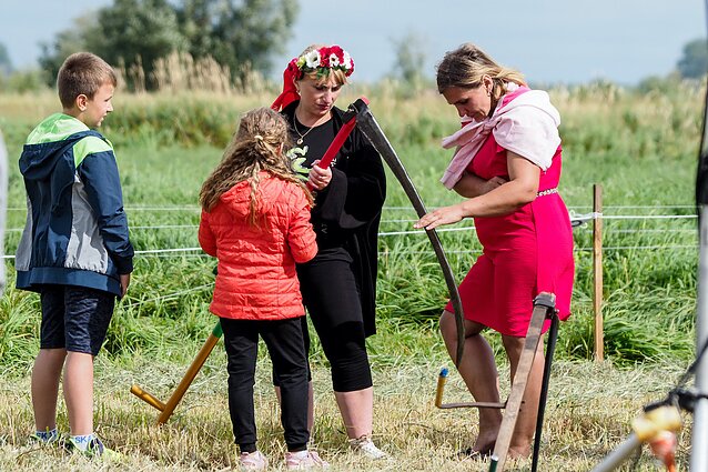 Šienpjovių čempionato akimirka Šienpjovių čempionato akimirka