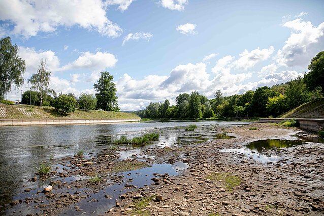 Sausros Europoje išdžiovino didžiausias upes ir ežerus: klimatologas teigia, jog tai atsilieps žmonių sveikatai