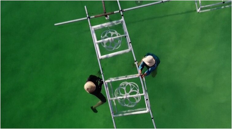 Negyvoje jūroje gimsta įvairiaspalviais kristalais žibančios skulptūros: menininkė kasdienius objektus paverčia kūriniais