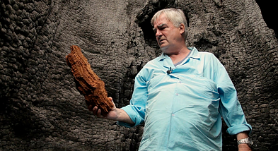 Kadras iš filmo „Mončys. Žemaitis iš Paryžiaus“. Jeanas Christophe`as Moncys